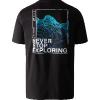 tee shirt the north face m foundation graphic tnf black / optic blue