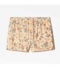 short the north face w printed class v mini apricot ice cacti