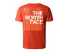 tee shirt the north face foundation graphic rusted bronze
